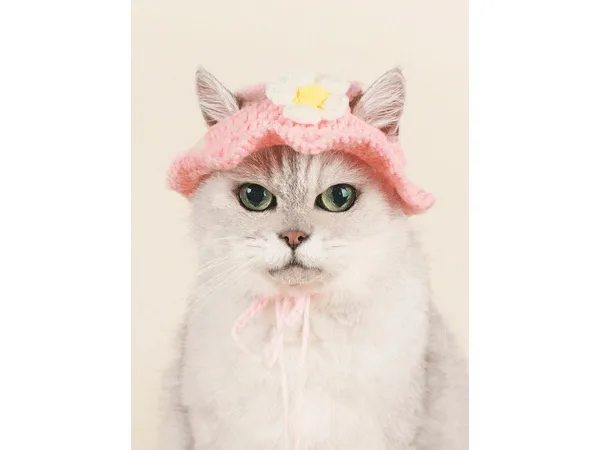 Cat Hat Pink