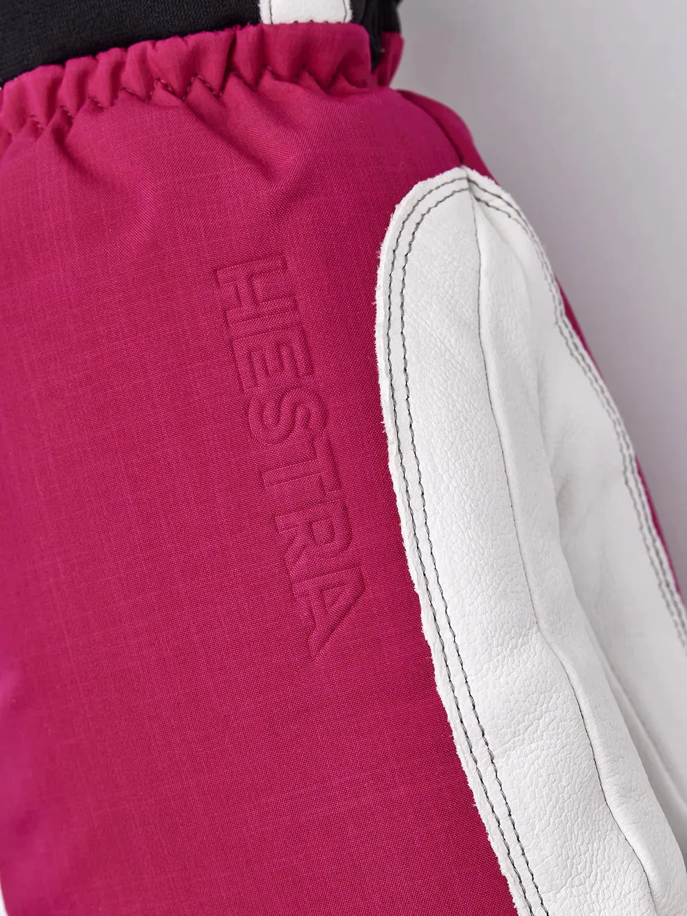 Hestra Alpine Short Gore-Tex Mitt