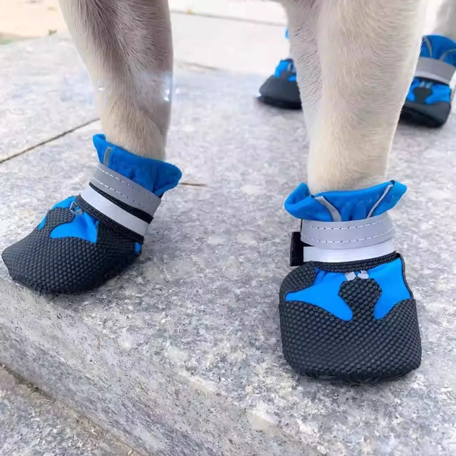 PawLuxe French Bulldog Waterproof Shoes – Soft-Soled Pet Booties