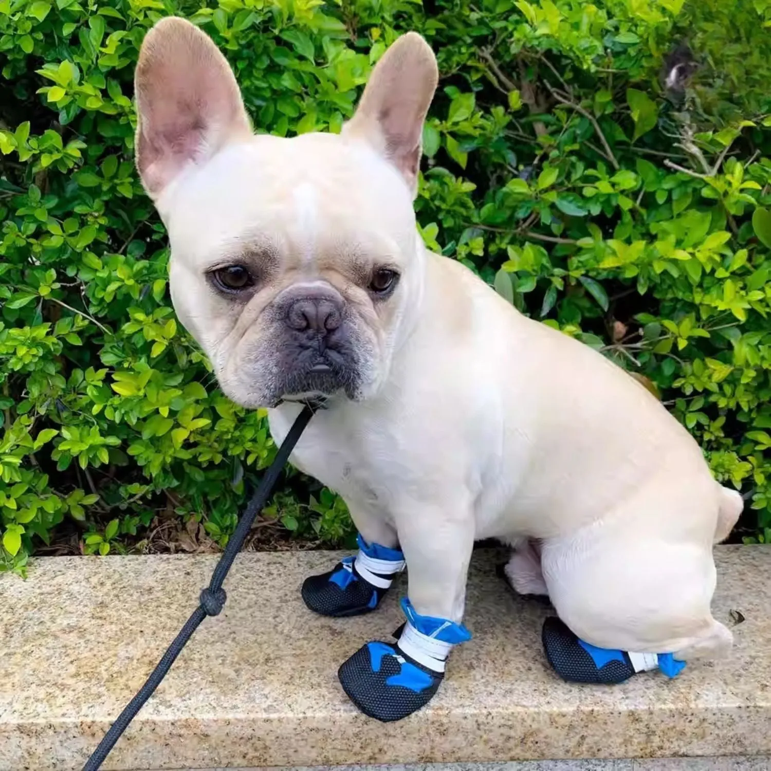 PawLuxe French Bulldog Waterproof Shoes – Soft-Soled Pet Booties