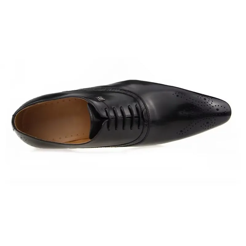 Velvoura Business Oxfords